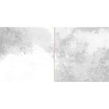 FS TRADITION SQUARE SILVER LT 20x40 Peronda obklad