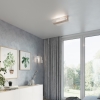 Nástenné svietidlo FENIKS 1 prírodné drevo 1x60W E27 Sollux Lighting