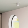 Nástenné svietidlo INEZ sivé 1x40W G9 Sollux Lighting