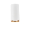 MANACOR povrchové svietidlo bielo-zlaté 1x50W GU10 9 cm Light Prestige