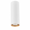 MANACOR povrchové svietidlo bielo-zlaté 1x50W GU10 17 cm Light Prestige